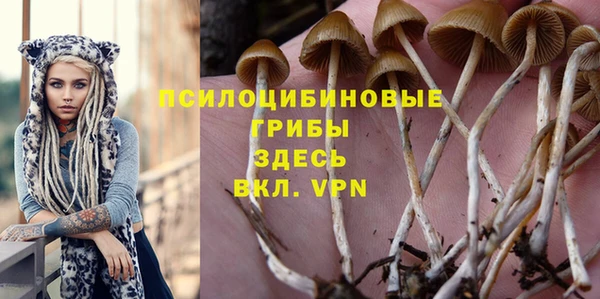 спиды Армянск