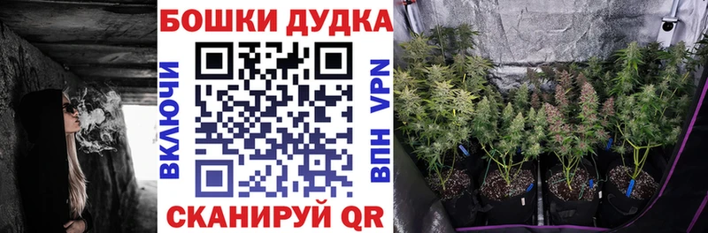 Канабис план  дарнет шоп  Кубинка 